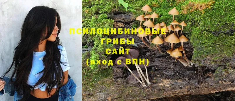 это состав  мега рабочий сайт  Хадыженск  Псилоцибиновые грибы Cubensis 